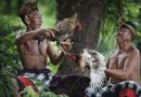 Lontar Tajen “sabung ayam” di Bali dan carcan siap (nama ayam aduan)